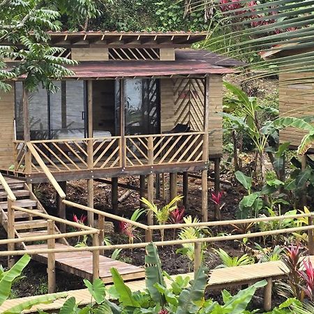 Pacific Nuqui Lodge 외부 사진