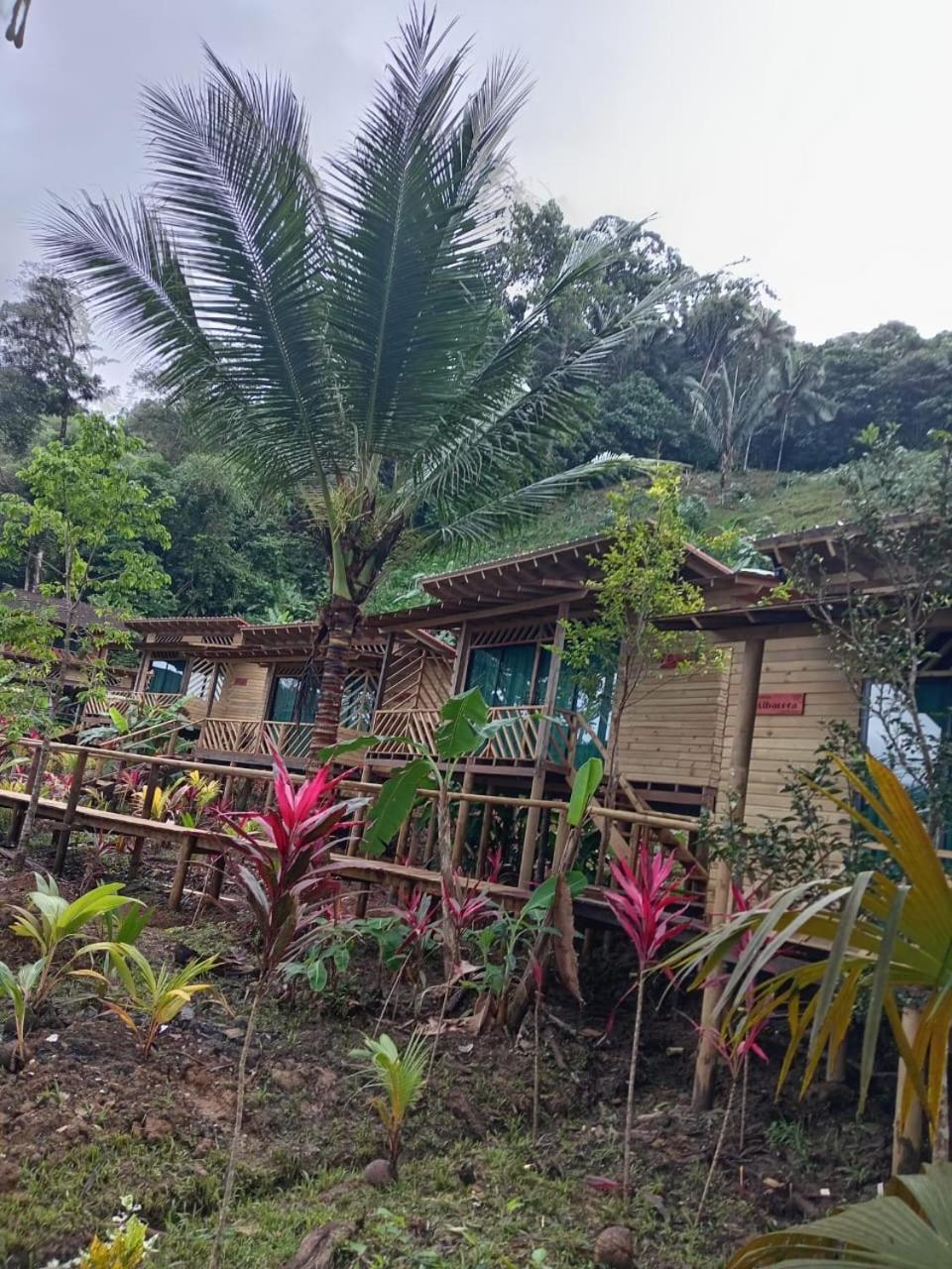 Pacific Nuqui Lodge 외부 사진